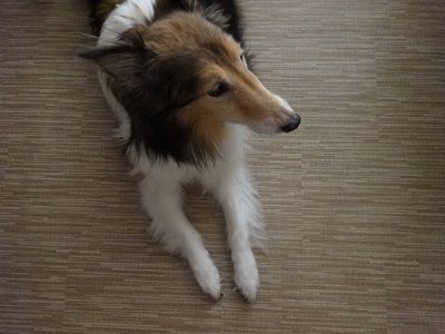 DSC05115