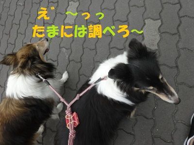 DSC02609