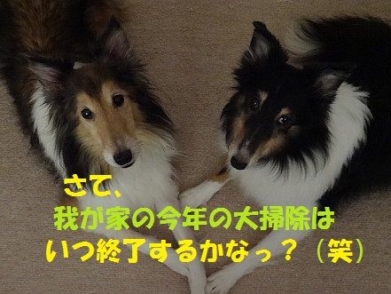 しゅせDSC04299