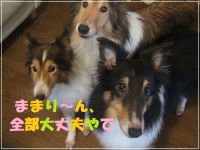 DSCF3510