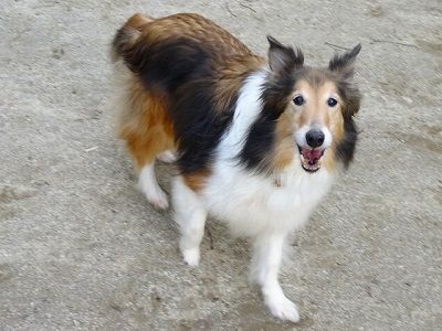 DSC00041