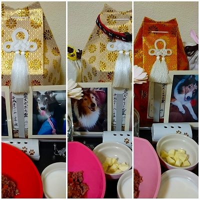 Fotor_155317705529713
