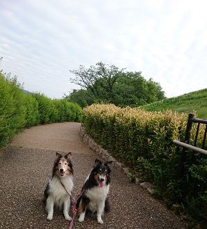 IMG_20180430_163343