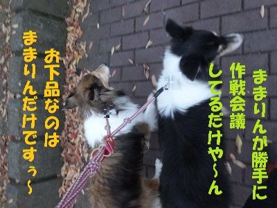 DSC06591