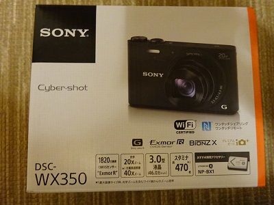 DSC00119
