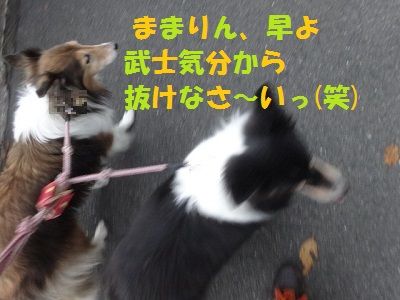 DSC08377