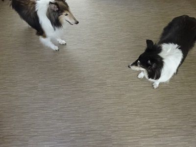 DSC05119