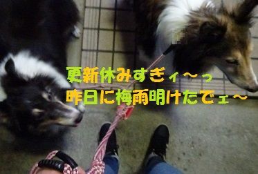 DSC00080