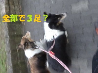 DSC06368