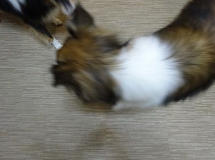 DSC09979