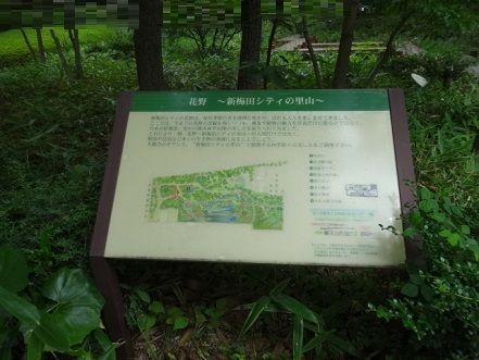 DSC01934