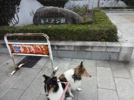 しゅせ使用DSC00553