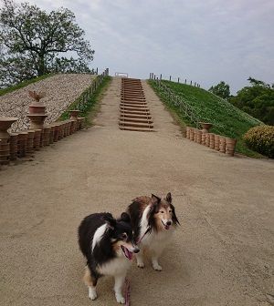 IMG_20180430_164020
