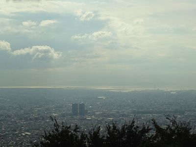 DSC02161