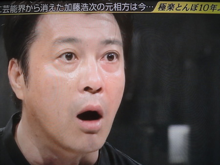 ダイナブック - DSC09345