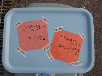 ブログ4