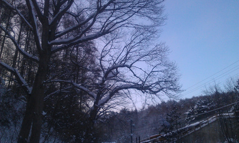 IMAG0193