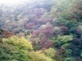 f61c9a83.jpg