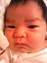 67704d37.jpg