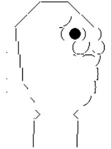 008