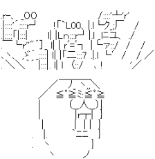 010