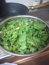大漁