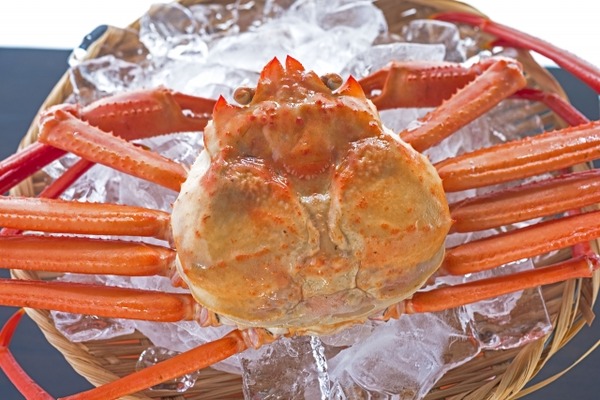 食の1