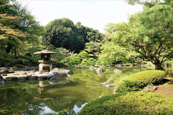 はな4