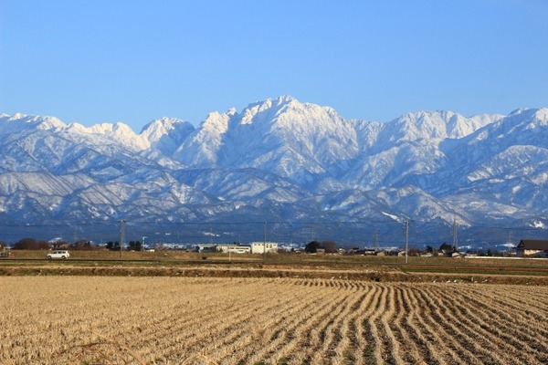 1月