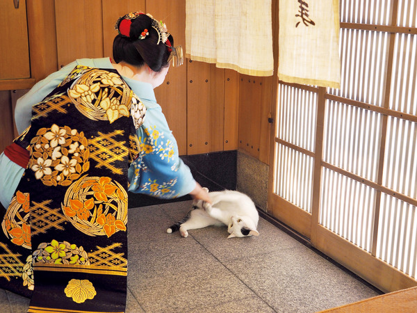 舞妓