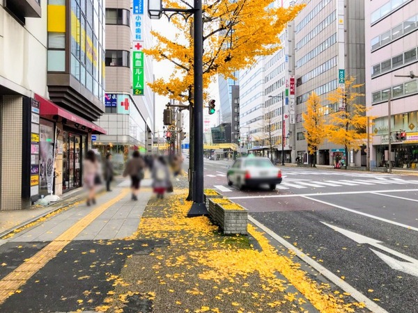 Point Blur_20181130_154142