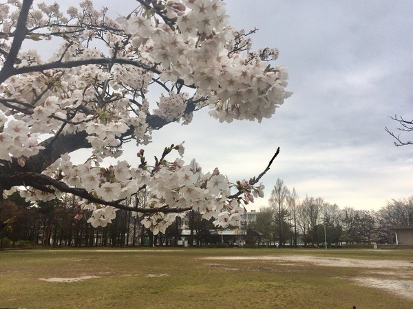 2017-04-15-14-21-23