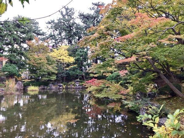 はく②