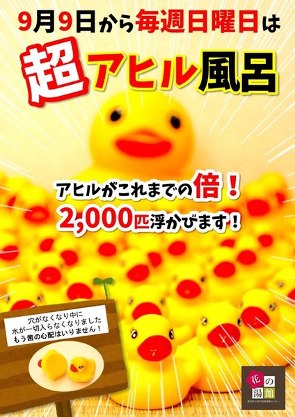 あひる⑥