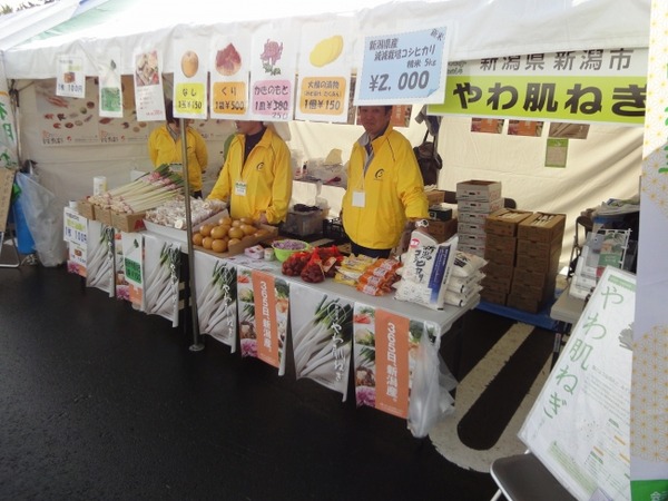 なぎ
