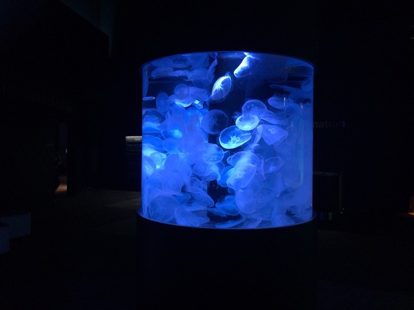 2018-05-19-13-44-12