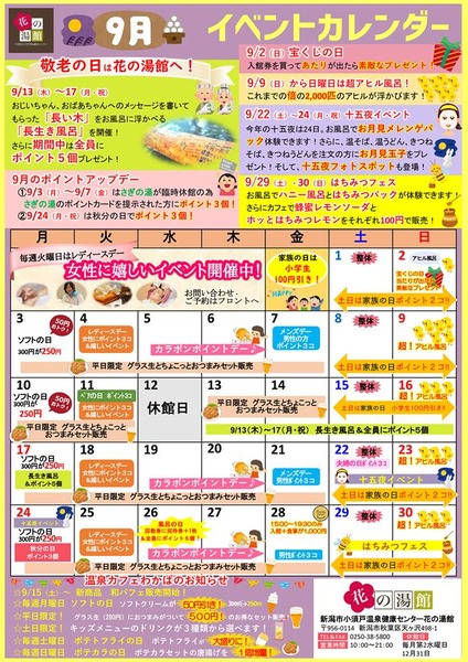 アヒル④