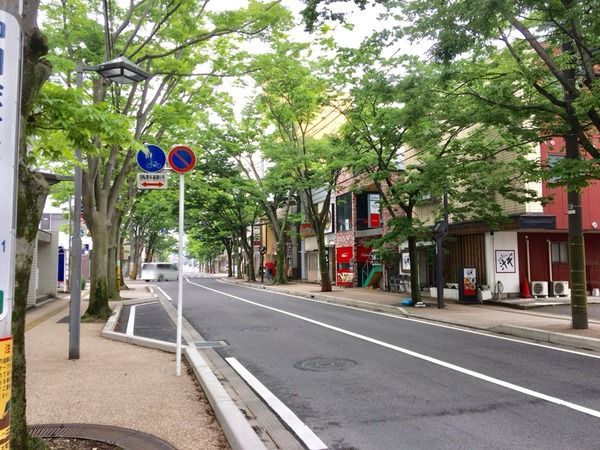 けやき