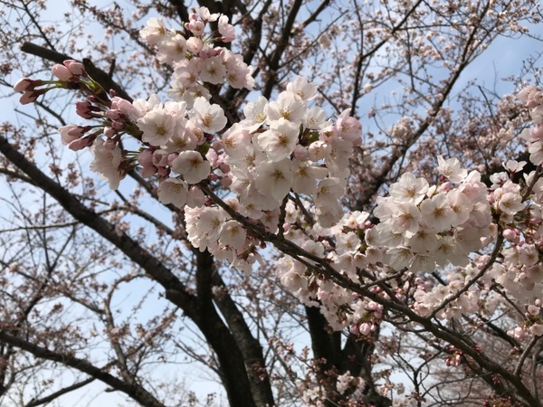 line_867969563702046