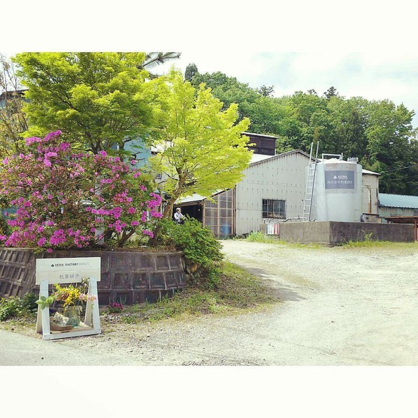 がらす⑤