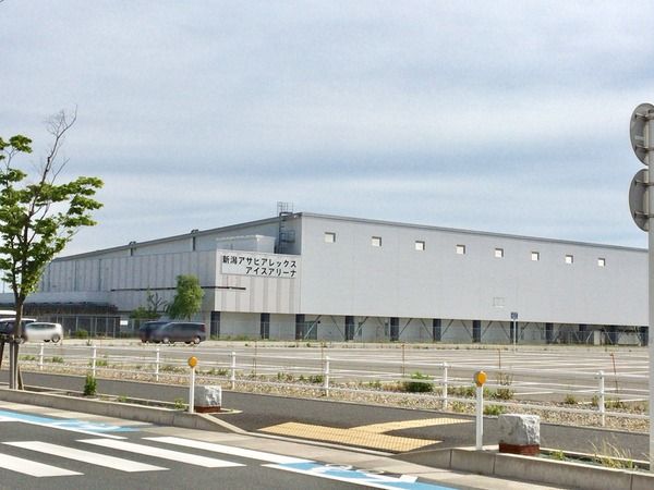 ありーな⑤
