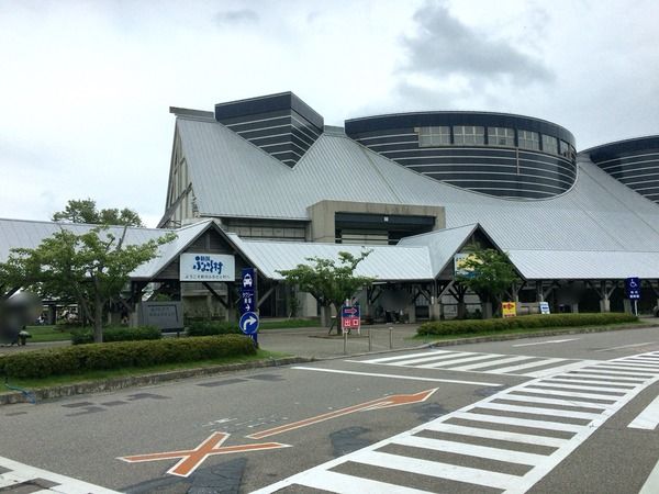 さけ②
