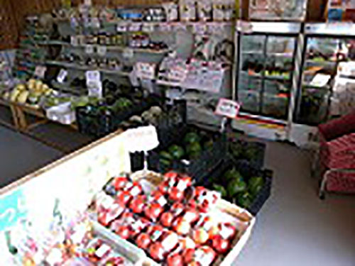 yasai