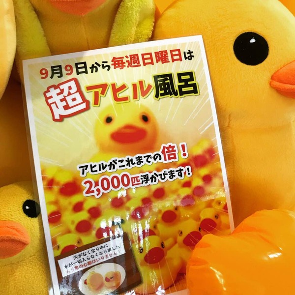 あひる