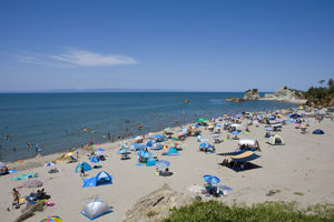 田浦