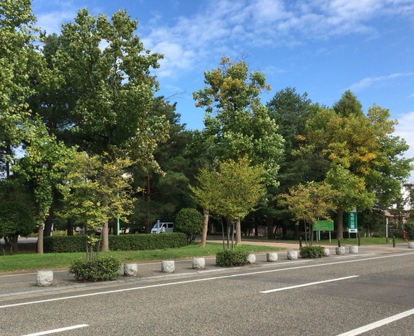 2016-10-15-09-18-51