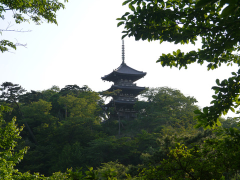 P1000966