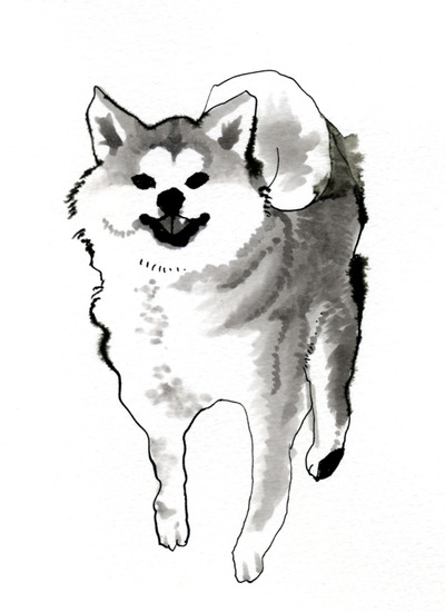 inu