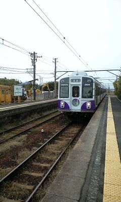 f6ae169b.jpg
