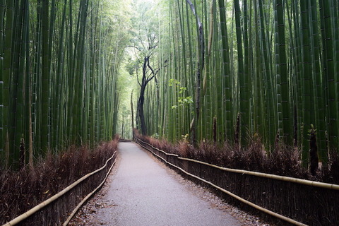 photo-sample_rx1r_02